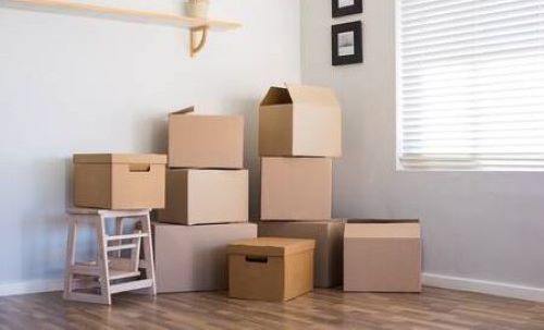 「何年も開けてない段ボール箱は不要品しか詰まってない！ノールックで捨てる！」→「でも一応開けてみようかな」ﾊﾟｶｯ→結果・・・