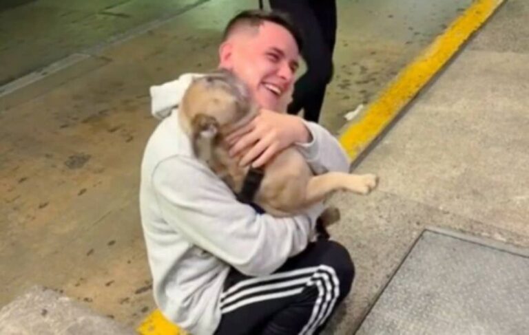 どうして急にいなくなったの？ご主人と7か月ぶりの再会を果たした犬、興奮を抑えられずはしゃぎ回る