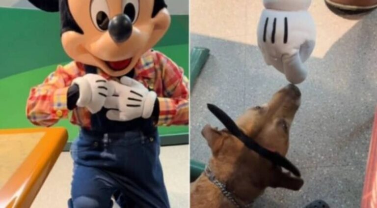「やあ、こんにちは！」ディズニーワールドで仕事中の介助犬を見かけたミッキーマウス、礼儀正しく挨拶をする