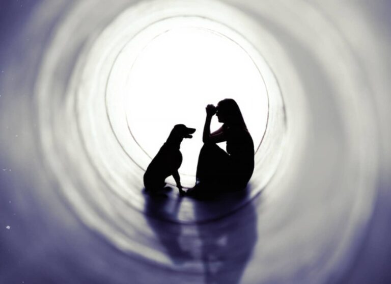 亡くなった愛犬の幽霊を見る飼い主は多い。その超常現象に悲しみを癒す効果があるかもしれない