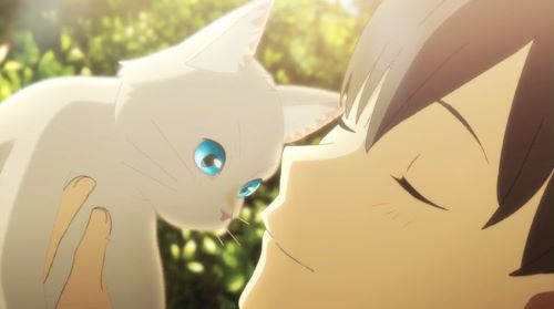 犬猫の飼い主に調査した結果、46%が「ペットの◯◯◯」を知らなかった・・・