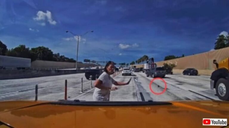 危ない！高速道路を走り回るオポッサムの赤ちゃんを発見した女性、危険を顧みずに救出に向かう