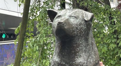 渋谷の忠犬ハチ公さん、人の手で撫でられまくった結果“封印”が解けはじめるｗｗｗｗｗｗｗ