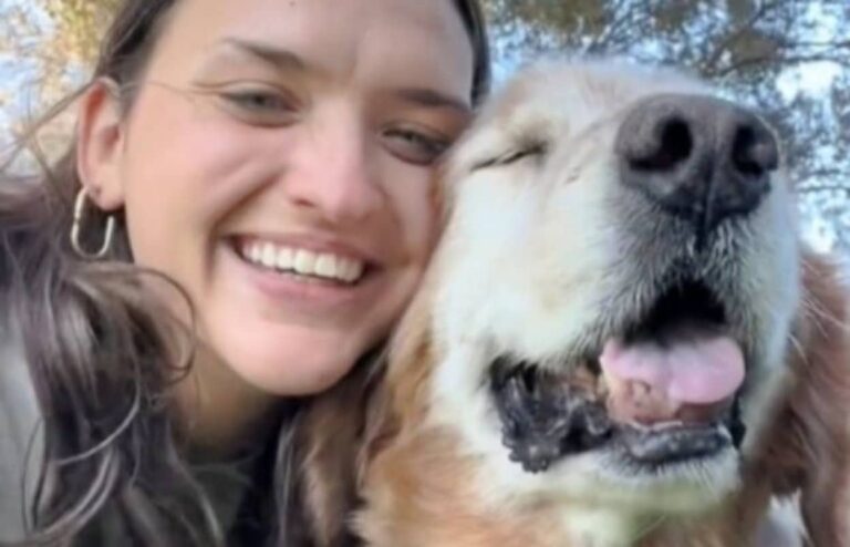 「いつまでもずっといっしょよ！」13年間、人生の節目を共にしたゴールデン。今も飼い主とのお散歩を楽しむ