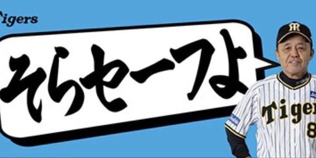 【放送事故】プロ野球の審判、世紀の大誤審をしてしまうｗｗｗｗｗｗ