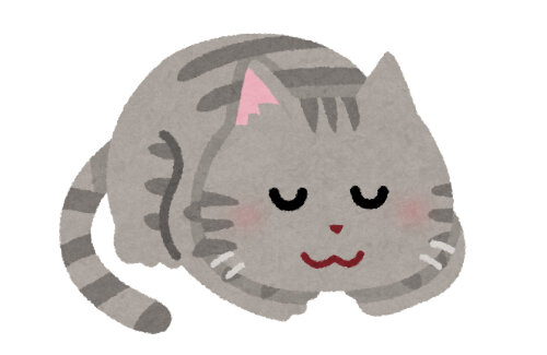 広島の工場で有害物質・六価クロムの水槽に落ちて逃走していた猫ちゃん、死骸で見つかる・・・