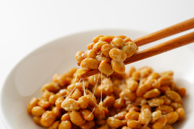 テラリウムの近くで納豆を食べると上手くいく！？ 嘘みたいな本当のライフハック