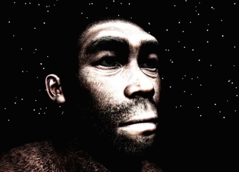考えられていたより8倍速い。人間の言語は160万年前に誕生したとする説