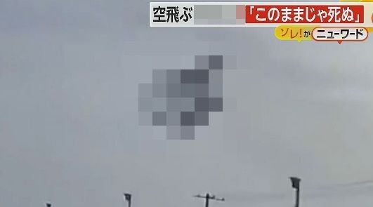高速を走っていたら急に◯◯◯が振ってきて死にかけた話がヤバイ