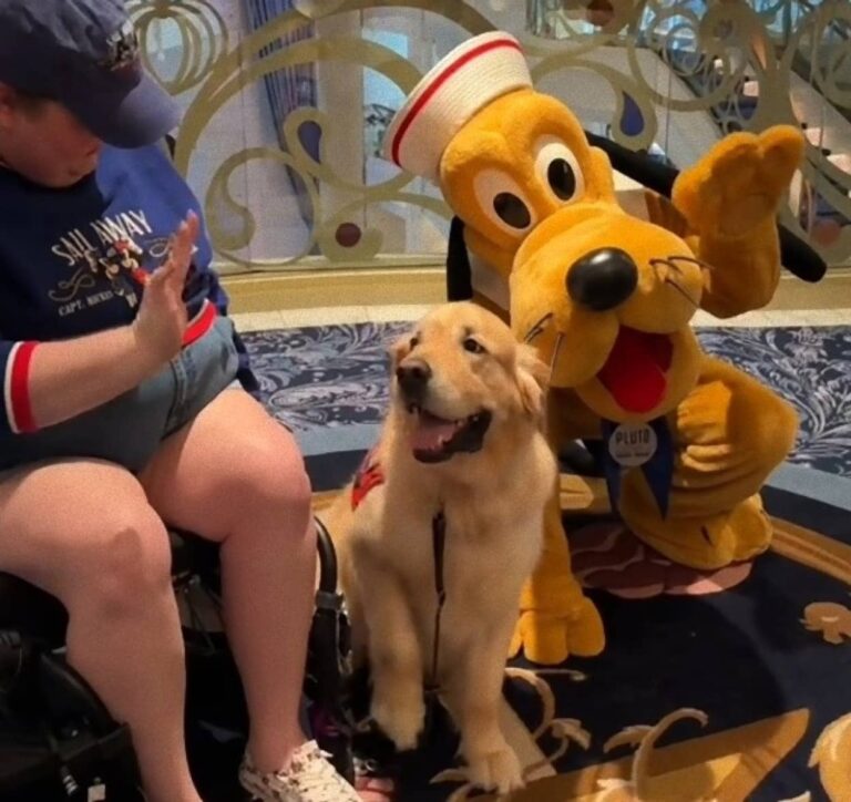 プルートが大好きな介助犬、ディズニーワールドで本物に出会えて大興奮
