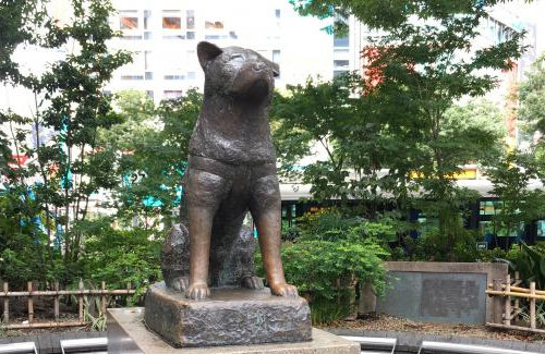 【画像】観光客の手で磨かれてハチ公の石化が溶け始めるｗｗｗｗ
