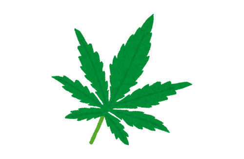 「違法なもの売っていない」とイキっていた『大麻グミ』会社の元社長、無事逮捕されるｗｗｗｗ