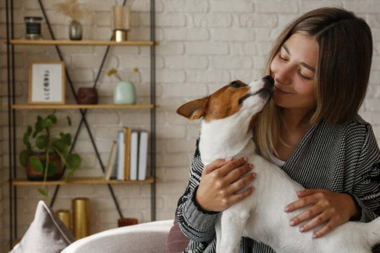 犬は人のストレスを感知できる。息のニオイからPTSDの発症を予測できる可能性