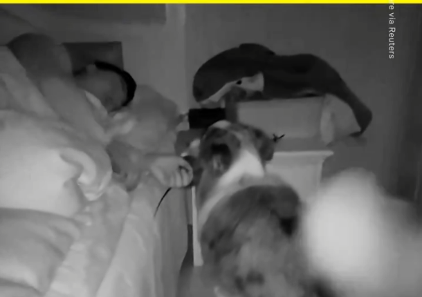 犬「ワンワン！」 寝てる飼い主「犬が俺に何かプレゼントくわえてきたな…ん！？」 → ヤバすぎる物の正体に飛び起きるｗｗｗｗｗ