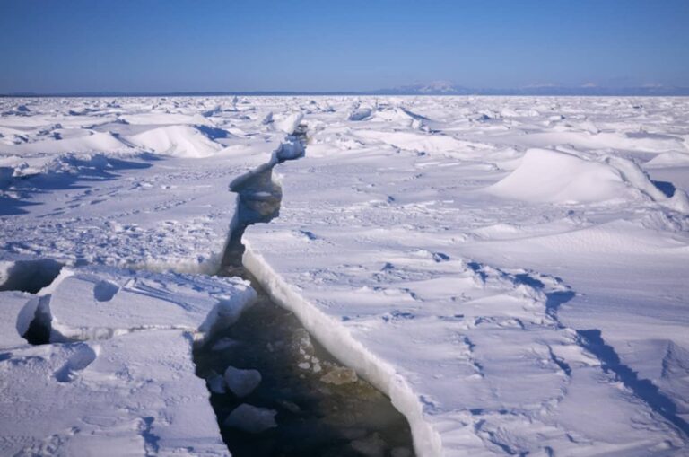 南極大陸の氷に閉じ込められた気泡が5600万人の死を記録していた