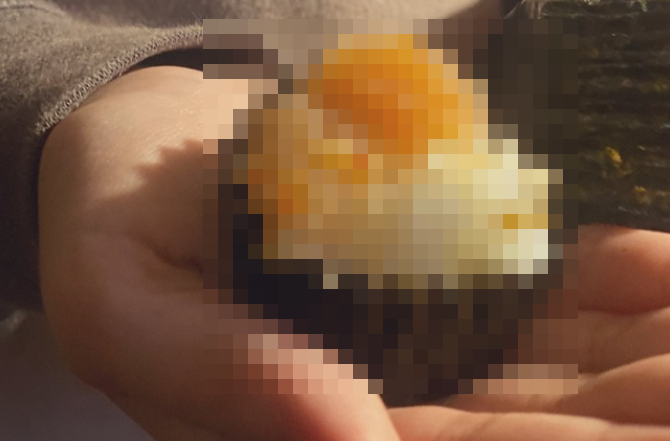 【15万いいね】日本、ヤバイ。なんじゃこの〇〇！？