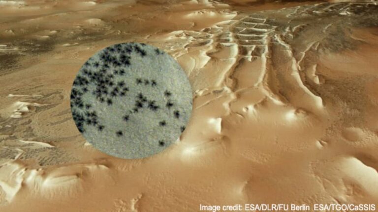 火星に大量の黒いクモが！？安心してください、そう見えるけど違います