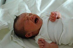 お前ら記憶を何歳まで遡れる？