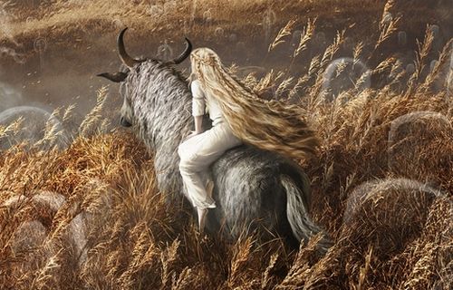 【画像】『エルデンリング』公式が謎の美しすぎる騎士の画像を公開！　ミケラなのかDLC初登場キャラなのかｗｗｗｗ
