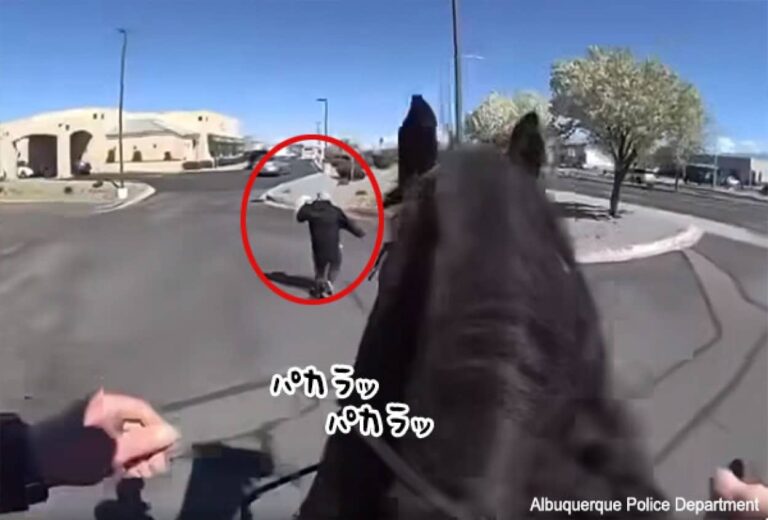 馬の脚力からは逃れられない。万引き犯が騎馬警官に追いかけられ逮捕される