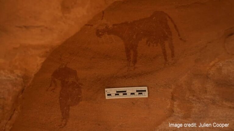 サハラ砂漠は緑豊かな場所だった。4000年前の岩絵に牛の姿