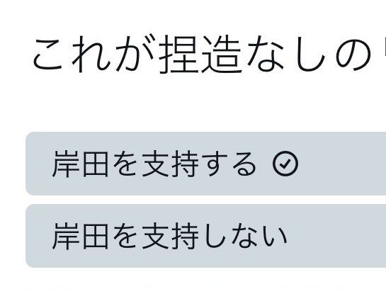 【悲報】X民「岸田内閣の支持率が回復している！？あり得ない！アンケートで捏造なしの民意を問うぞ！！」→結果・・・