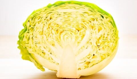【悲報】キャベツ、あまりにも高騰しすぎて価格がバグり散らかす・・・