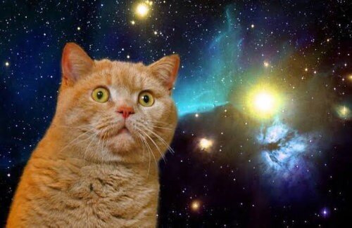 『宇宙の猫ライト』というガチャ景品がシュールだと話題になり、欲しがる人が続出してしまうｗｗｗｗｗ
