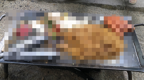 漫画家「具材もりもりでパーティーみたいな楽しいBBQだ！」ﾄﾞﾝｯ→知人「◯◯かと思った」