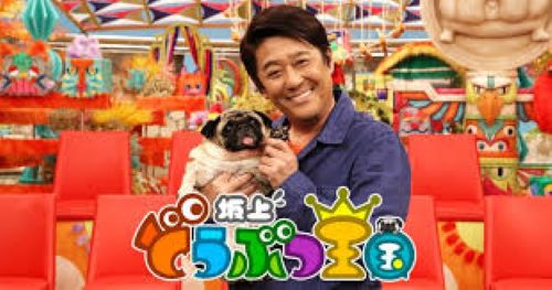 フジテレビ・坂上どうぶつ王国、被災地で飼育放棄された猫を保護する感動の番組を放送→後日、ガチで最悪の事実が判明・・・