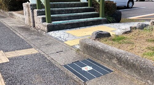 この時期、側溝の中で黒い◯◯を見つけても触らないで！それはもしかしたら・・・
