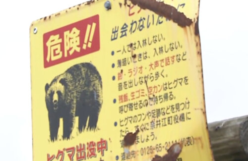 猟友会がクマの駆除を事態「高校生のコンビニのバイトみたいな金額。ハンター馬鹿にしてない？」