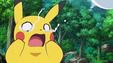 とある男児、世間ではポケモンのピカチュウが優遇されていることに許せないため、とんでもない呼び方をしてしまうｗｗｗｗ
