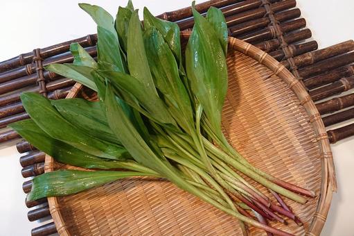 札幌市民「家庭菜園から行者にんにくを採って食べよっと」 → 実は、自分が栽培していた有毒のイヌサフランでした → 2人が死亡