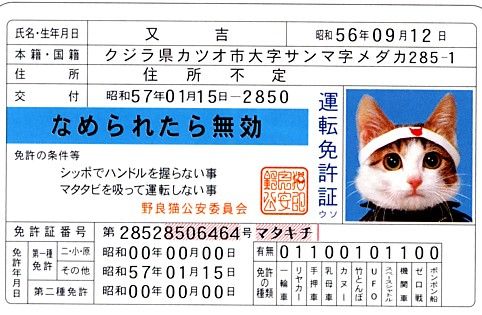 免許費用を親に出してもらえるなんて恵まれてるなぁお前って友達に言ったら、心の底からお前んちの親の子供に生まれなくてよかったって言われた