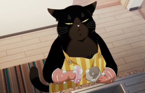 【画像】獣医さんに「なんか足の筋肉すごいですね？？」と言わせた猫ちゃんの、衝撃の日常がこちらｗｗｗｗｗｗ
