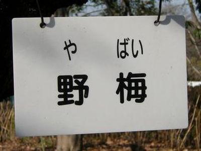頭いい人間ってやっぱり語彙力があれだよなやばいよな