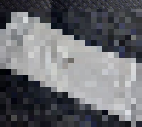 整理整頓できない人さあ、カバンに必ずコレ入ってるよね→3万RT22万いいね