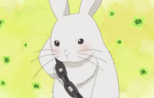 うさぎカフェが気に入った7歳の娘が来週も行きたいとねだったので、お父さんが給料が安いからと断った　→　8年後、取り返しのつかない事になりガチ後悔…