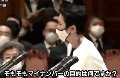 都知事選を控えた蓮舫さん、イキってマイナンバー法について質問するもハイパーブーメランを食らってダンマリｗｗｗｗｗ