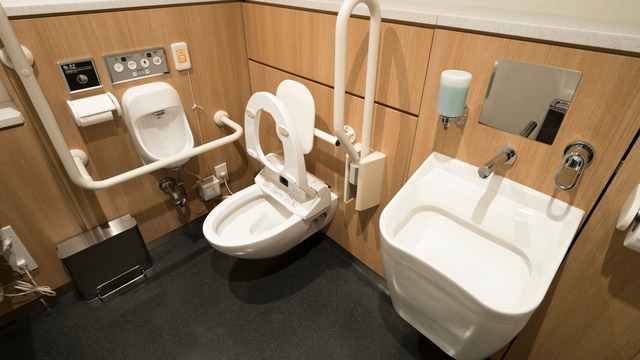 【世も末】14歳の男子中学生、女子小学生を多目的トイレに連れ込み性的暴行→逮捕　埼玉県