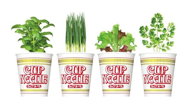 日清がカップヌードル栽培キット「謎土」を発売！！ カプヌ容器で育てる「野菜栽培セット」