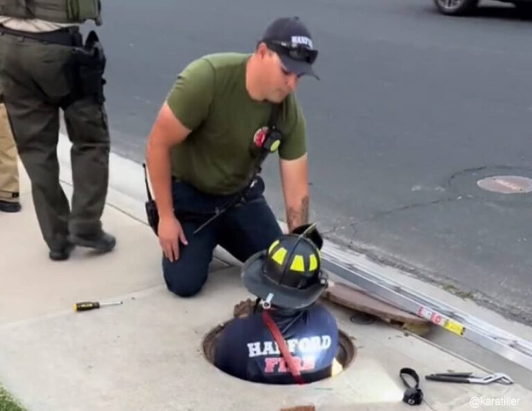 子猫を消防隊が救出する一部始終を見ていた女性、別れることができずに家族に迎え入れる