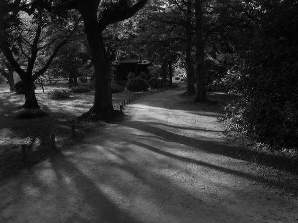 心霊体験を語ってほしい