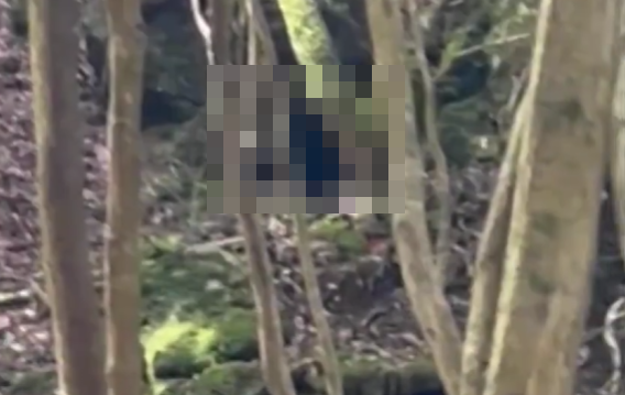 渓流釣りしている男性「なんか後ろが臭いな」 → 後ろを振り向くとそこには・・・ うわぁあああああああ