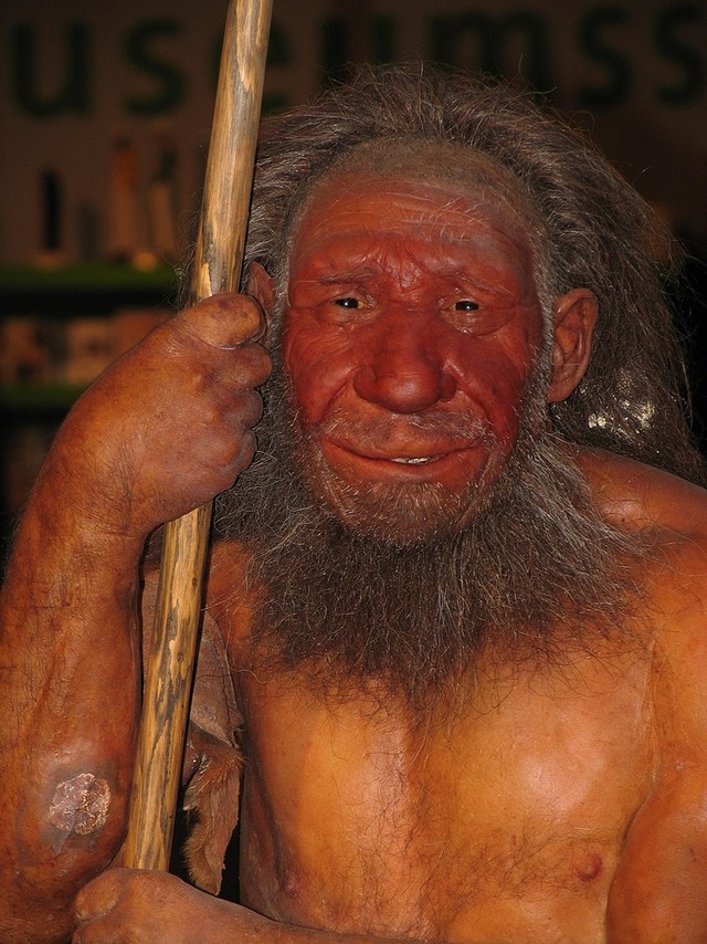 ネアンデルタール人(強い、賢い、繁殖力抜群)←こいつが絶滅した理由って何？