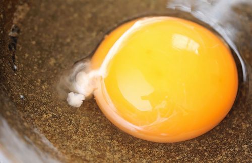 【ガチで怖い】SNSでうっかり「たまごかけごはんの時はカラザを絶対に取る、キショいから」と投稿してしまった人　→　その直後、まさかの信じられない反応が来て恐怖で震えてしまう…