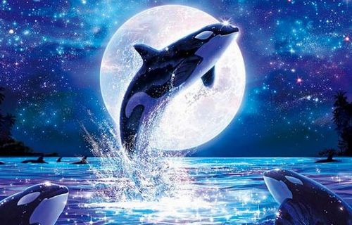 【地獄】イルカの絵で世界的に有名な画家ラッセンさん、最近見ないので調べてみた　→　あまりに悲惨すぎる末路が判明してしまう…