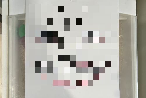 漫画家さん「子供が米びつにおもちゃ入れて遊んでるから“コレ”で封印しました」→いいアイデアだけど、こんなんトラウマなるわ・・・