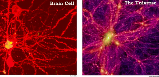 宇宙と脳の構造って似てるらしいから、宇宙って生物の脳細胞なんじゃない？